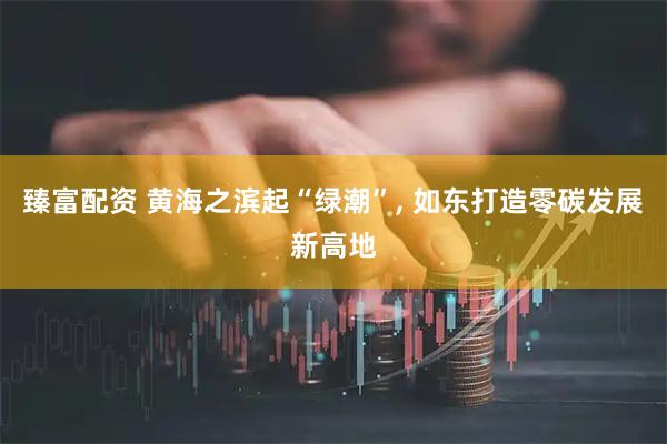 臻富配资 黄海之滨起“绿潮”, 如东打造零碳发展新高地