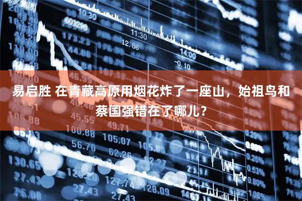 易启胜 在青藏高原用烟花炸了一座山，始祖鸟和蔡国强错在了哪儿？
