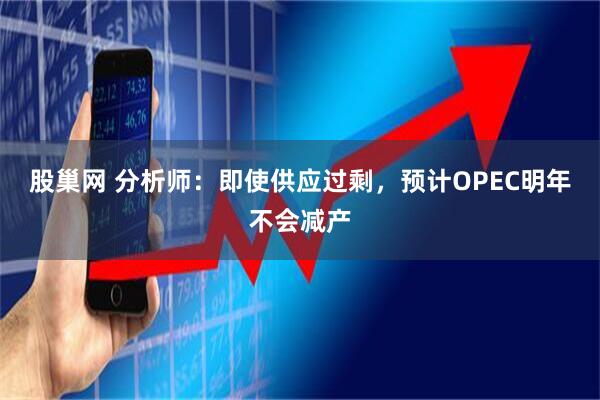 股巢网 分析师：即使供应过剩，预计OPEC明年不会减产