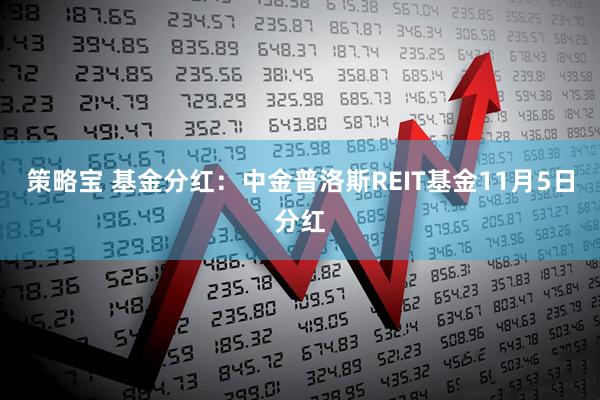策略宝 基金分红:中金普洛斯REIT基金11月5日分红